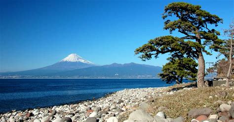 【移住】伊豆高原に移住して4年。後悔したこととは・・・。珈。